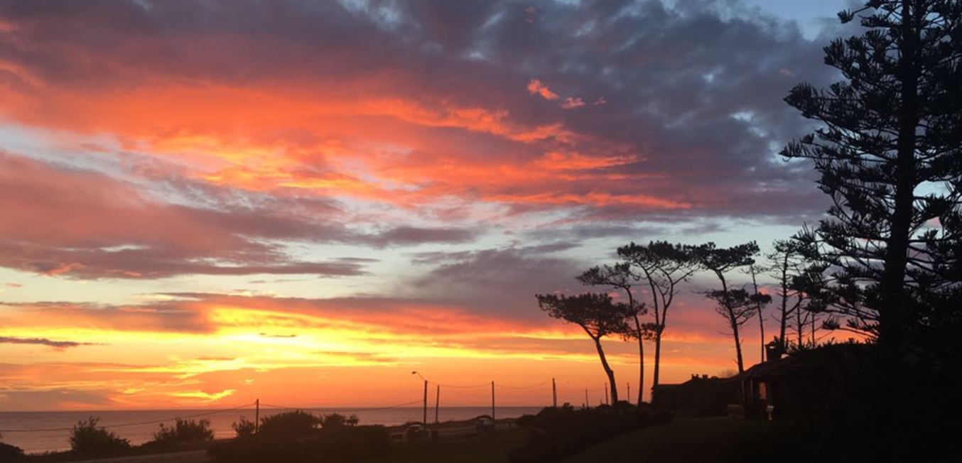 Interesting news about Uruguay